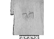 Ris11_1